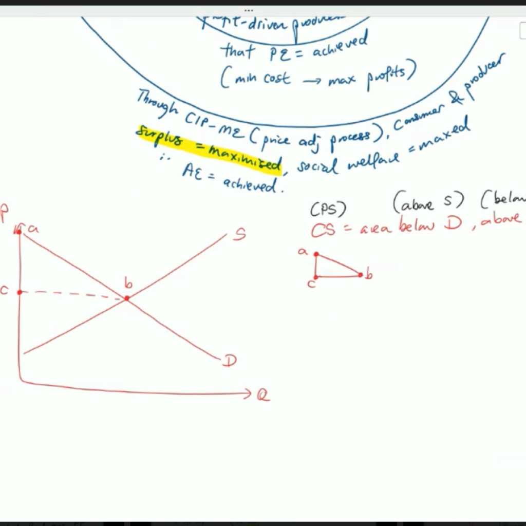 An ongoing online lecture held by a jc economics tuition centre